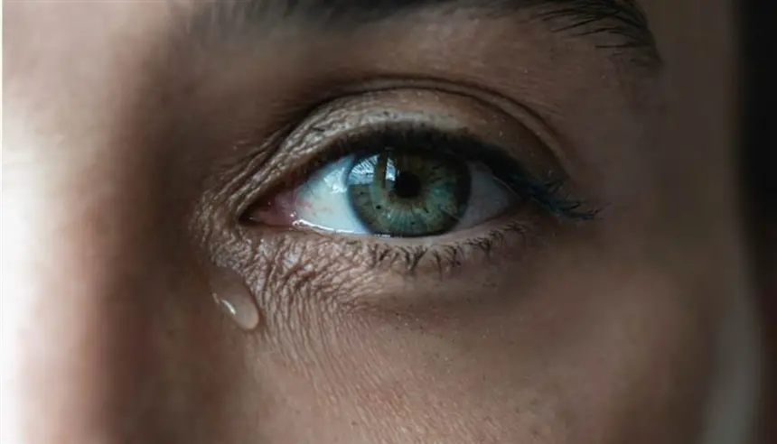 صورة تعبيرية من الارشيف