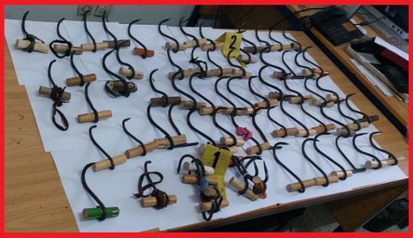 طنجة .. إجهاض محاولة جماعية للهجرة السرية باستخدام معدات للتسلق