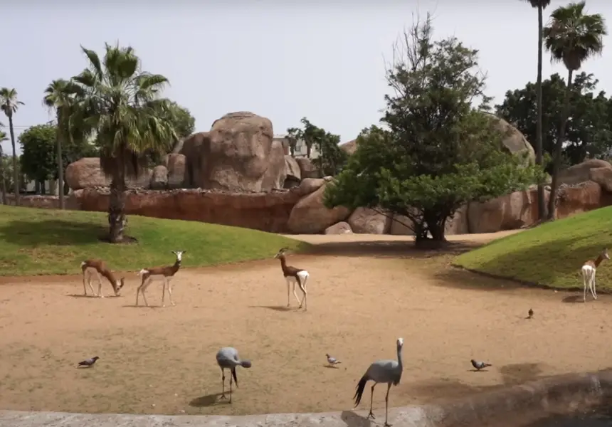 حديقة عين السبع تفتح أبوابها أخيراً وهذه تفاصيل الأسعار التي فجّرت الجدل