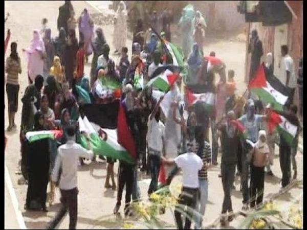 وفد صحفي أجنبي ضخم في طريقه للعيون وبوليساريو الداخل تستنفر مرتزقتها