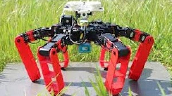 "أنتبوت" روبوت مستوحى من نمل الصحراء...قادر على التحرك من دون نظام التموقع الجغرافي