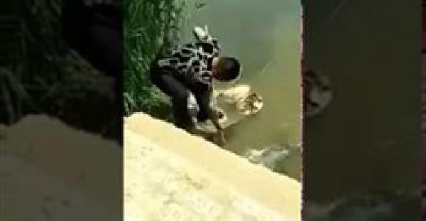 بالفيديو.. رحلة صيد لصياد طماع تنتهي بمفاجأة