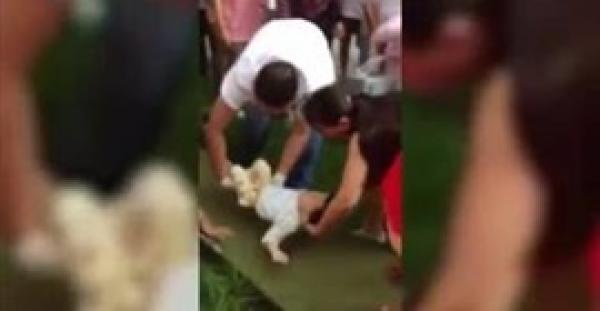 بالفيديو.. أم تلقى بابنها من الطابق السابع بعد شجار مع زوجها