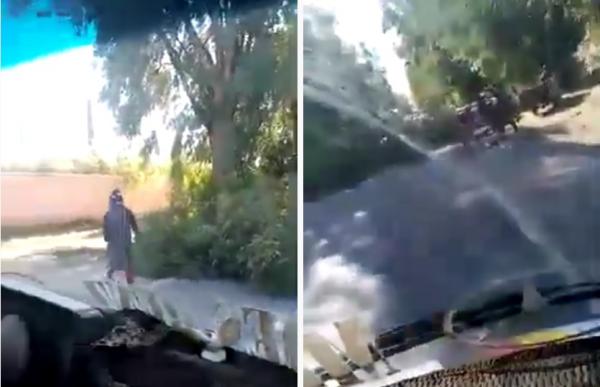 الرياح تقتلع شجرة كبيرة بجرسيف وتشل حركة السير