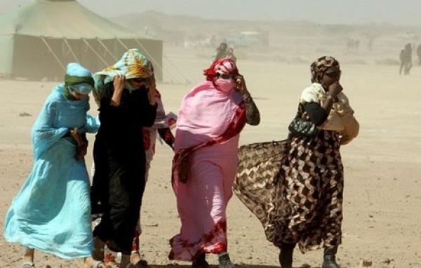 حمادة البيهي: غالبية سكان تندوف من الطوارق ومواطني هذه الدول والصحراويون لاتتجاوز نسبتهم 20%