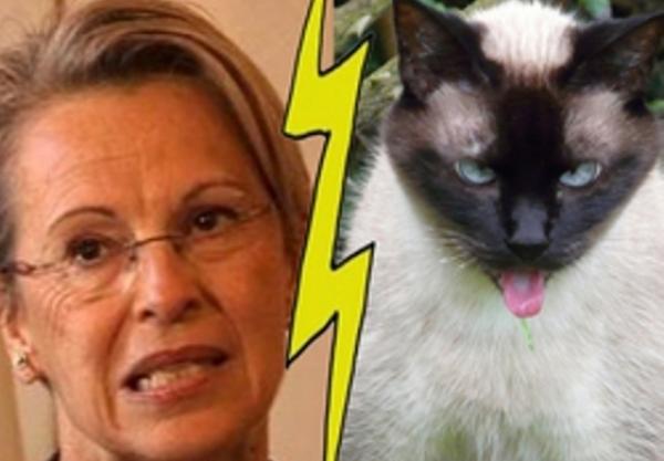 قط مغربي يورط وزيرة فرنسية