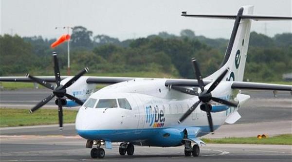 نحلة تجبر طائرة على الهبوط الاضطراري