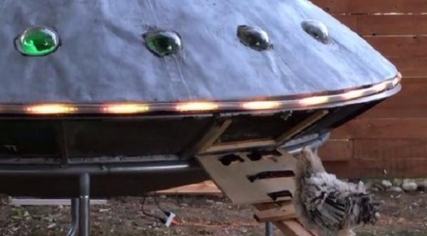 بالفيديو: زوجان يبنيان طبقاً طائراً لإيواء طيورهما