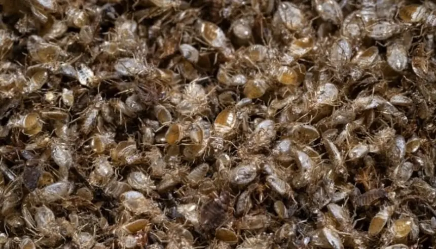 Sorry! Image not available at this time