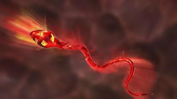 احذروا..هذه مواد منزلية تسبب عقم الرجال