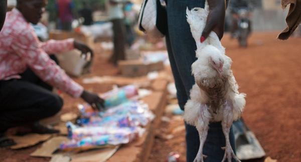 دولتان عربيتان تحظران هذا المنتج من السعودية