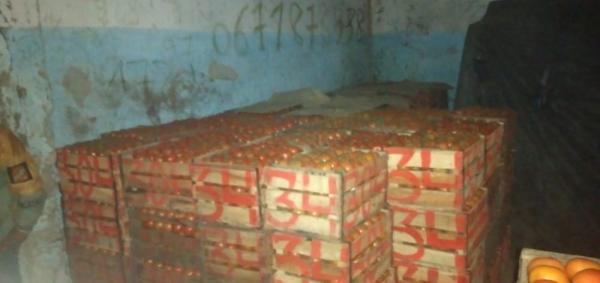 السلطات تُداهم مستودعا سريا للخضر وتعتقل 3 أشخاص(صور)