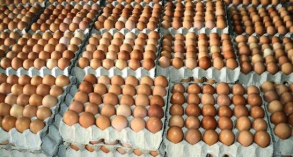 دول أوروبية تسحب الملايين من البيض من الأسواق لسبب خطير، فماذا عن المغرب؟