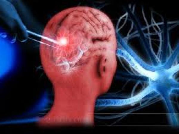 تحديد أكثر من 750 جيناً جديداً مسؤولاً عن الذاكرة على المدى الطويل