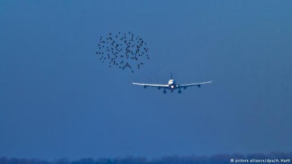 2017 ينتظر لقب" الأكثر أمانا لركاب الطائرات" في التاريخ