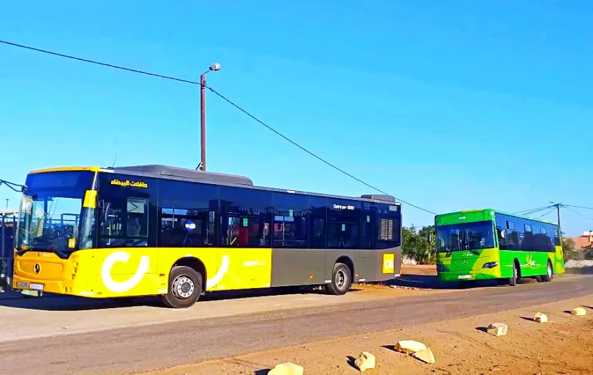 وزير الداخلية يكشف عن برنامج جديد سيضع حدا لمعاناة المواطنين مع أزمة النقل