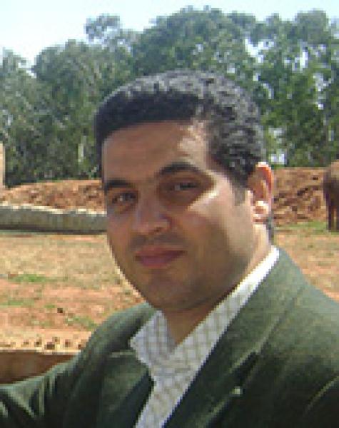 التعليم مرة أخرى..