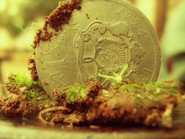 اقتراح بتخفيض العملة و وقف ارتفاع الرواتب في المغرب