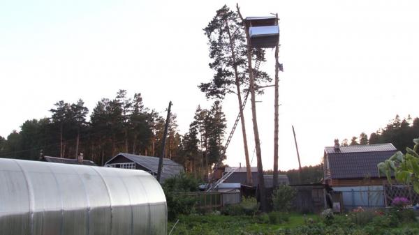 بالفيديو: يستغل غياب جيرانه ويبني منزلاً داخل حديقتهم