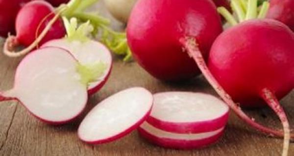 منها علاج البواسير والسرطان.. فوائد الفجل الصحية