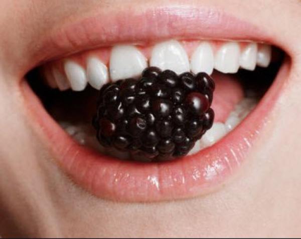 «التوت البري» يقلل الآثار السلبية للنظام الغذائي العالي الدهون