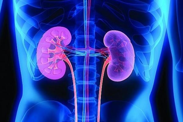 مشروب سحري  يقضي على حصوات الكلى!