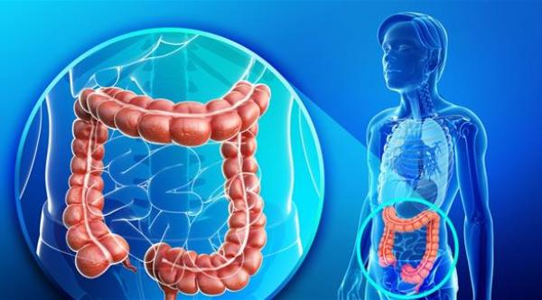 طريقة جديدة للكشف عن سرطان القولون بفحص الدهون