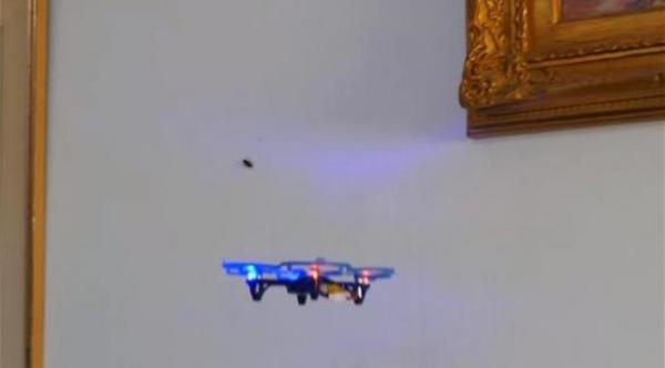 بالفيديو: رجل يلجأ لطائرة دون طيار لقتل صرصور