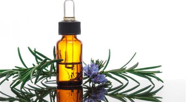 استنشاق الروزماري قبل الامتحانات يحسّن أداء الذاكرة