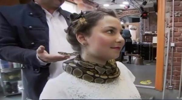 بالفيديو: صالون حلاقة ألماني يستخدم الأفاعي في تدليك أعناق زبائنه