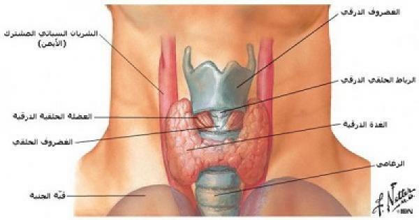 الاشعاع النووي أحد أبرز علاجات الغدة الدرقية