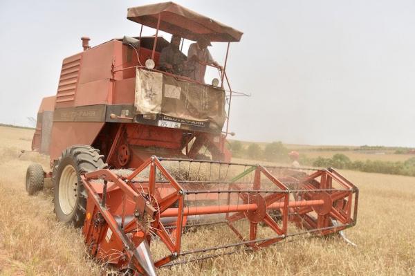 آلة حصاد "تحصد" روحين نواحي سطات وترسل ضحية ثالثة إلى المستشفى