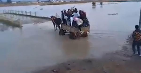 شاهد وسيلة النقل التي يستقلها هؤلاء التلاميذ للوصول الى المدرسة