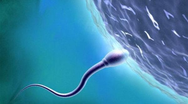 فرص الإنجاب لدى الرجل تتراجع عند الأربعين