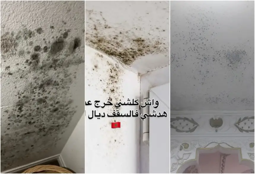 هكذا يمكن لأي مغربي اشترى منزله عبر قرض بنكي أن يستفيد من تعويض عن أضرار "الغمال"