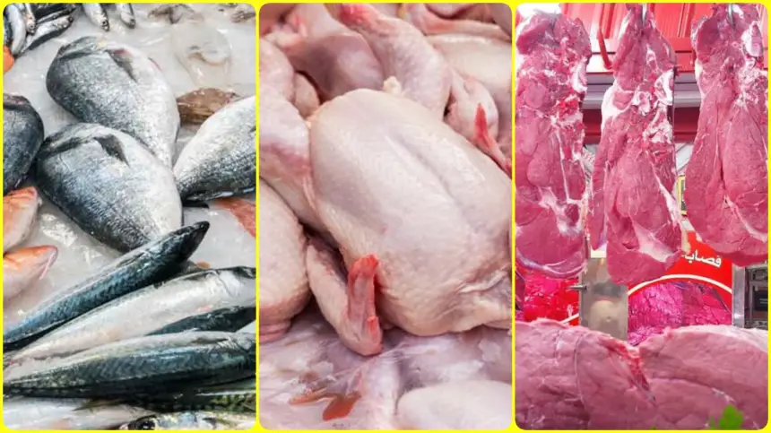 هل يحترم المنطق.. نظرية "تأثير الفراشة" تتوقع تراجعا وشيكا في أسعار اللحوم الحمراء والبيضاء والأسماك