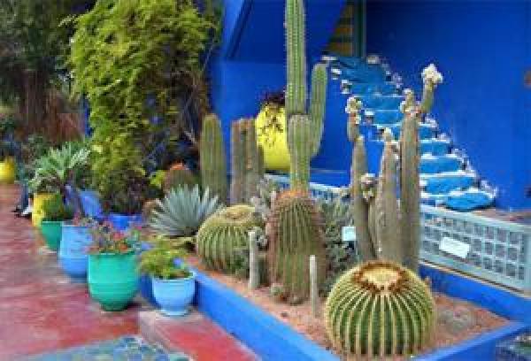 أبوظبي تستضيف معرض العقار وفن العيش المغربي