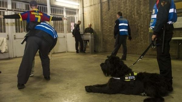 كلاب "متوحشة" في "برشلونة" لمنع تكرار جريمة "الكلاسيكو"