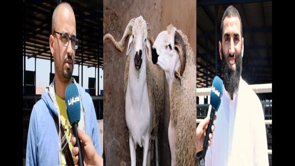 جديد أضاحي العيد 2018 ... نار يا حبيبي نار