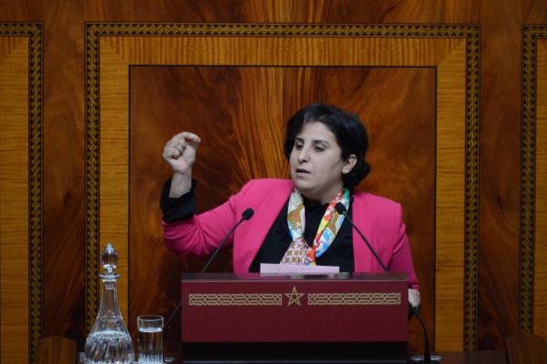 حنان رحاب:لا مزايدة علينا في المواقف الوطنية