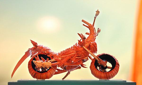 ديلي ميل: بالصور... طاهي يبتكر دراجات نارية من الاستاكوزا