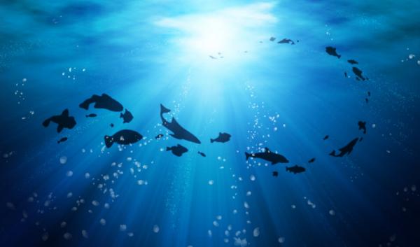 زيادة درجات الحرارة عالميا قد ترفع مستوى المحيطات 6 أمتار