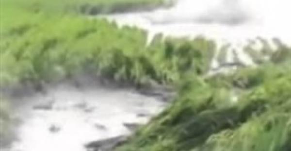 بالفيديو.. بركان يطلق سمكة غريبة طولها 4 أمتار