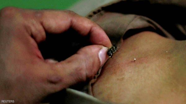 رجل يربي النحل و ليس من أجل عسله