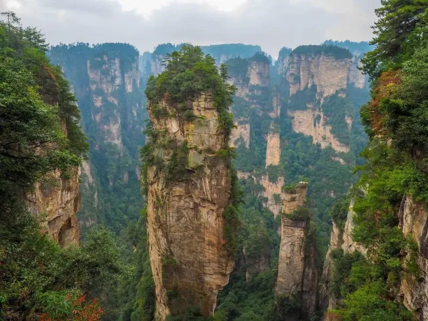 جبال أفاتار في الصين.. أعمدة صخرية تطفو بين الغيوم