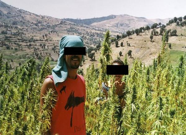 نائب رئيس جماعة يتهم قبطانا بالدرك بالتحريض على استعمال الرصاص ضد متظاهري الكيف