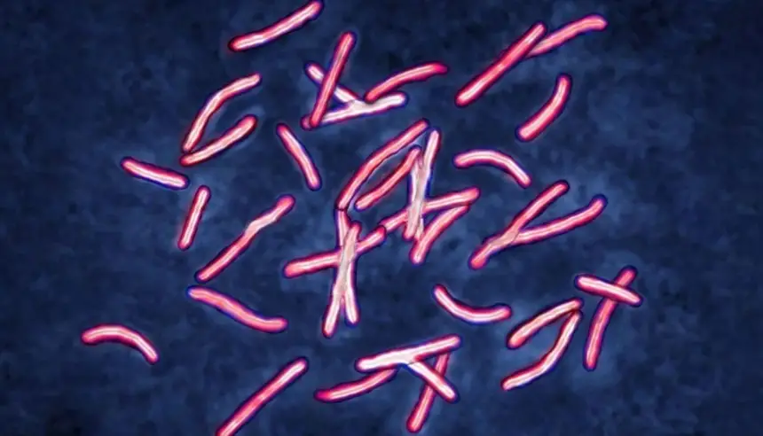 في 48 ساعة فقط.. الذكاء الاصطناعي يحل لغزاً حيّر العلماء لعقد كامل