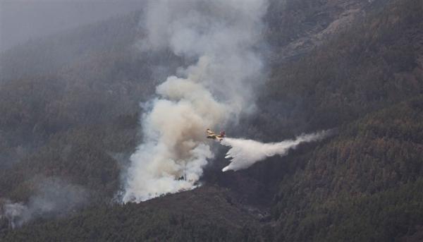 عودة آلاف الأشخاص إلى منازلهم في جزيرة تينيريفي الإسبانية بعد الحرائق المدمرة