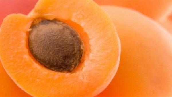 "المشمش".. أهم الفواكه المفيدة لصحتك