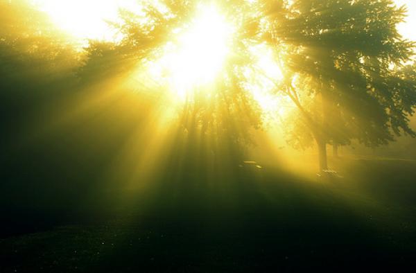 كيف يرفع الإنسان من درجة إيمانه ليشعر بلذته